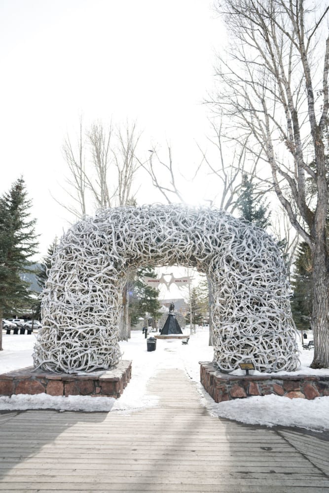 Winter elk arches on The Town Square.