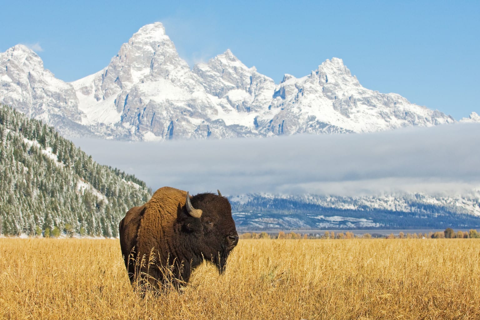 An Ideal Day In Grand Teton National Park | The Cloudveil