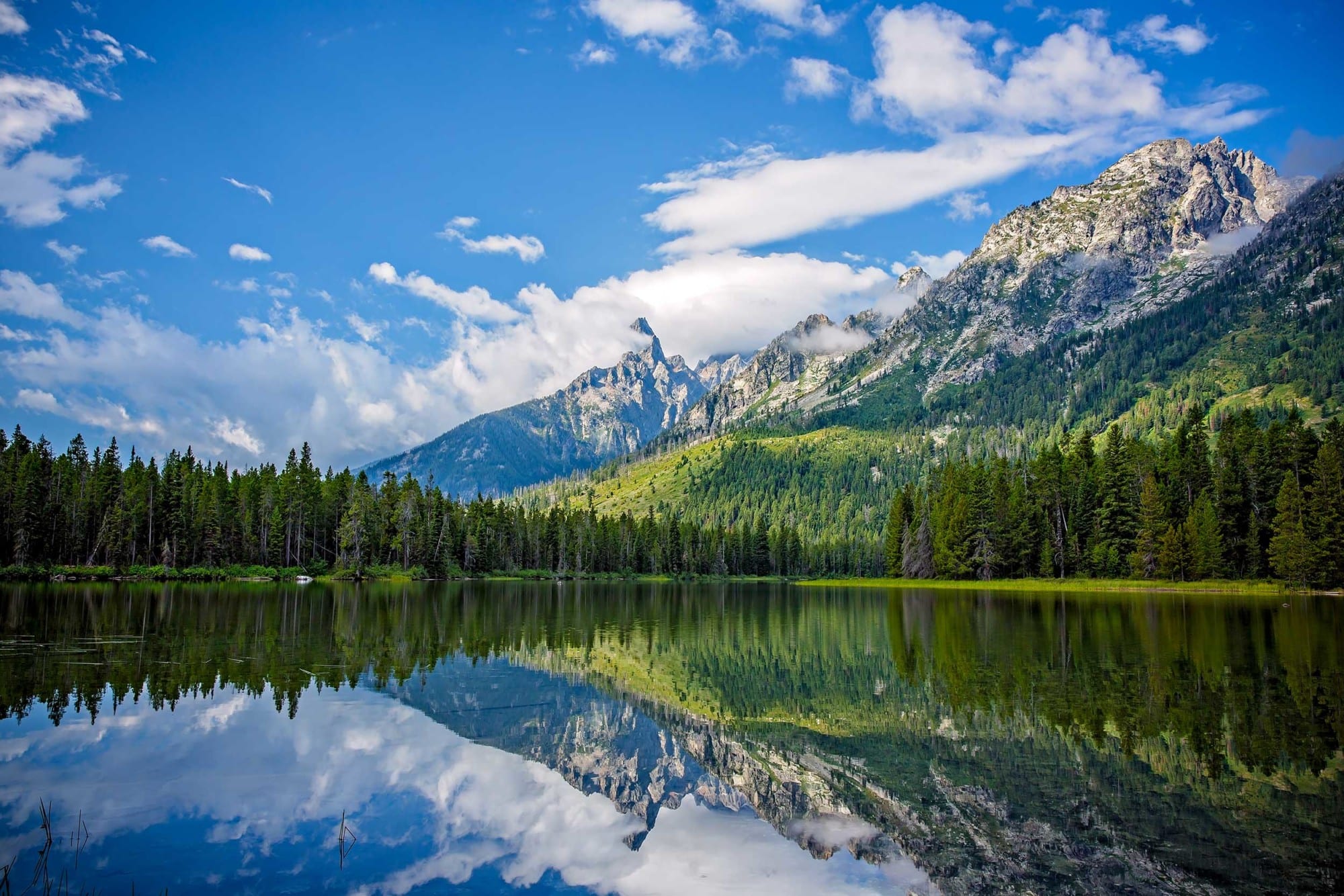 String Lake In Jackson Hole