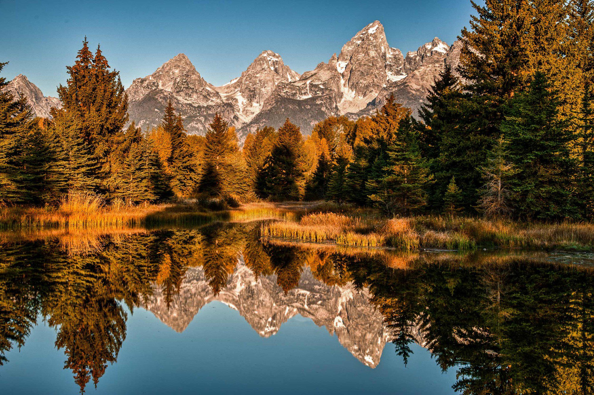 Sunrise at Schwabacher Landing in GTNP.